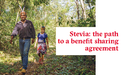 Stevia_ the path to a benefit sharing agreement