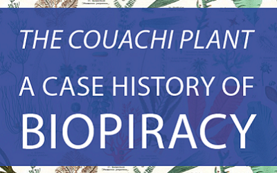 The Couachi plant biopiracy